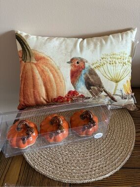 Hobby Lobby Fall Pumpkin Ceramic Decorative Accent (set of 3) and Pillow NWT!